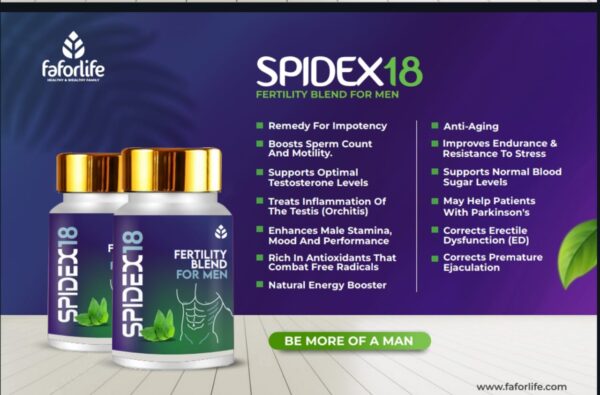 Spidex18 - Image 2