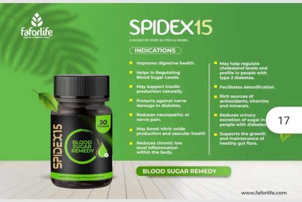 Spidex15 - Image 2
